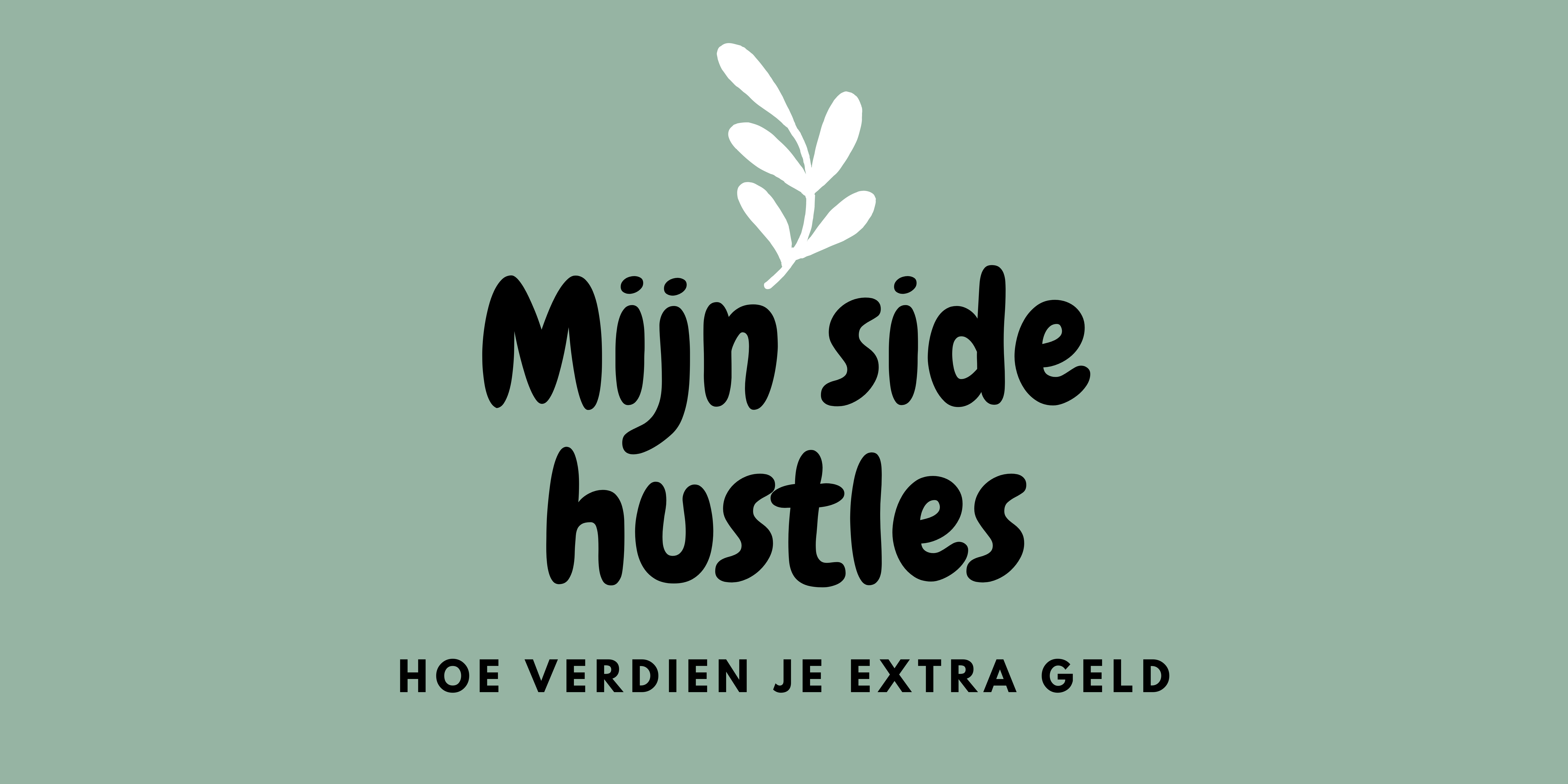 Side hustle tips. Hoe verdien ik extra geld?