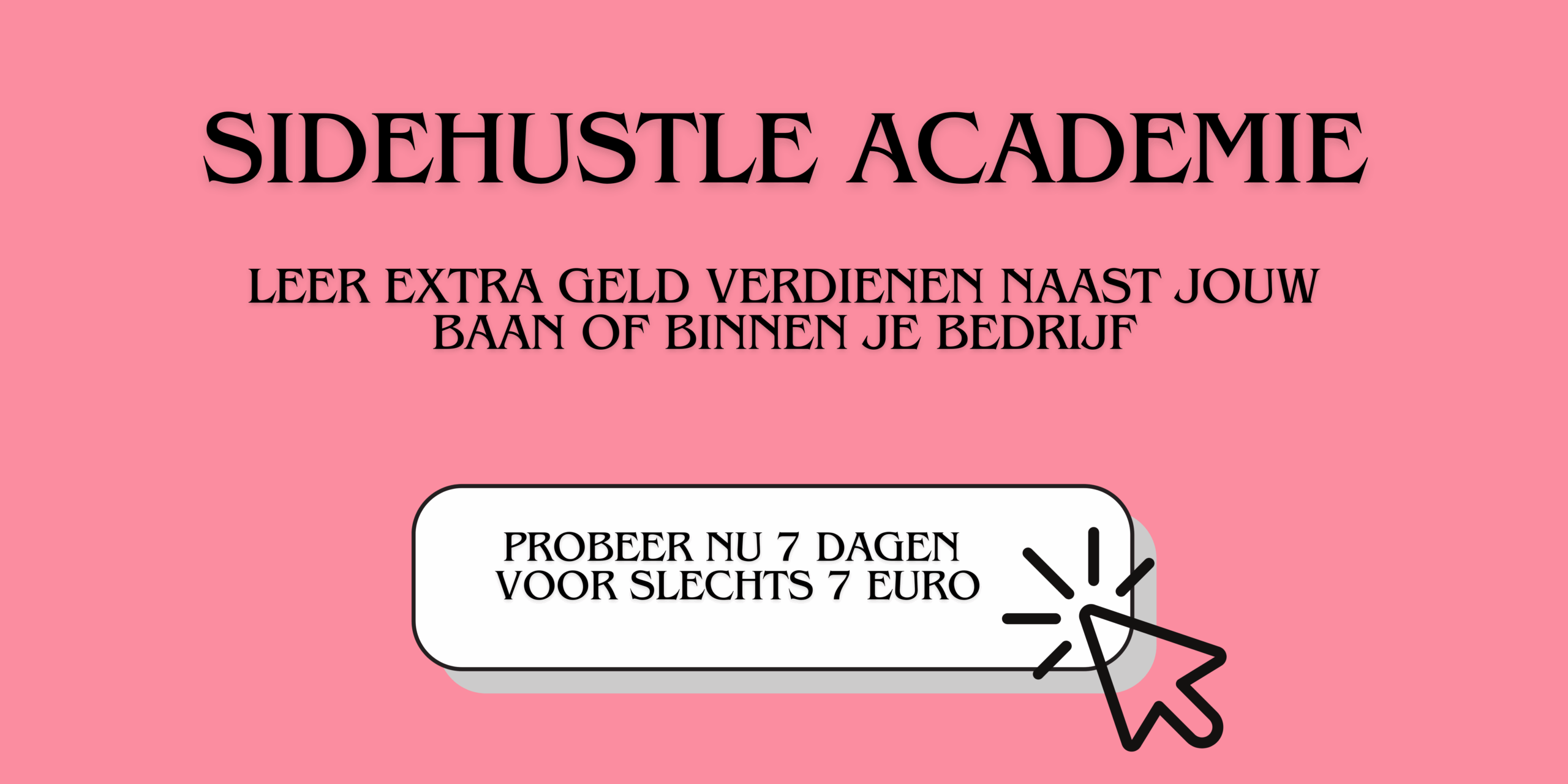 sidehustle academie