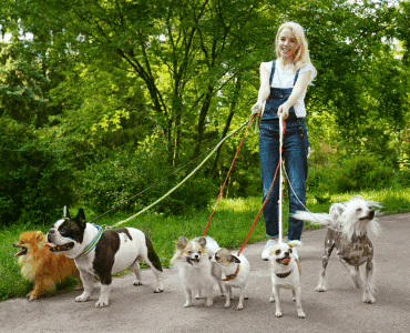 hond uitlaten voor geld