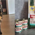 Dit is de leukste side hustle community in Nederland