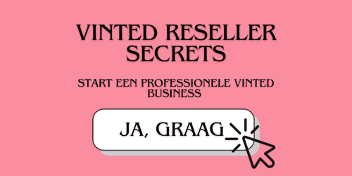 vinted reseller secrets - cursus