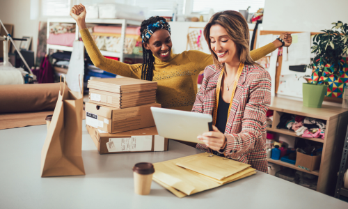 vinted belastingdienst